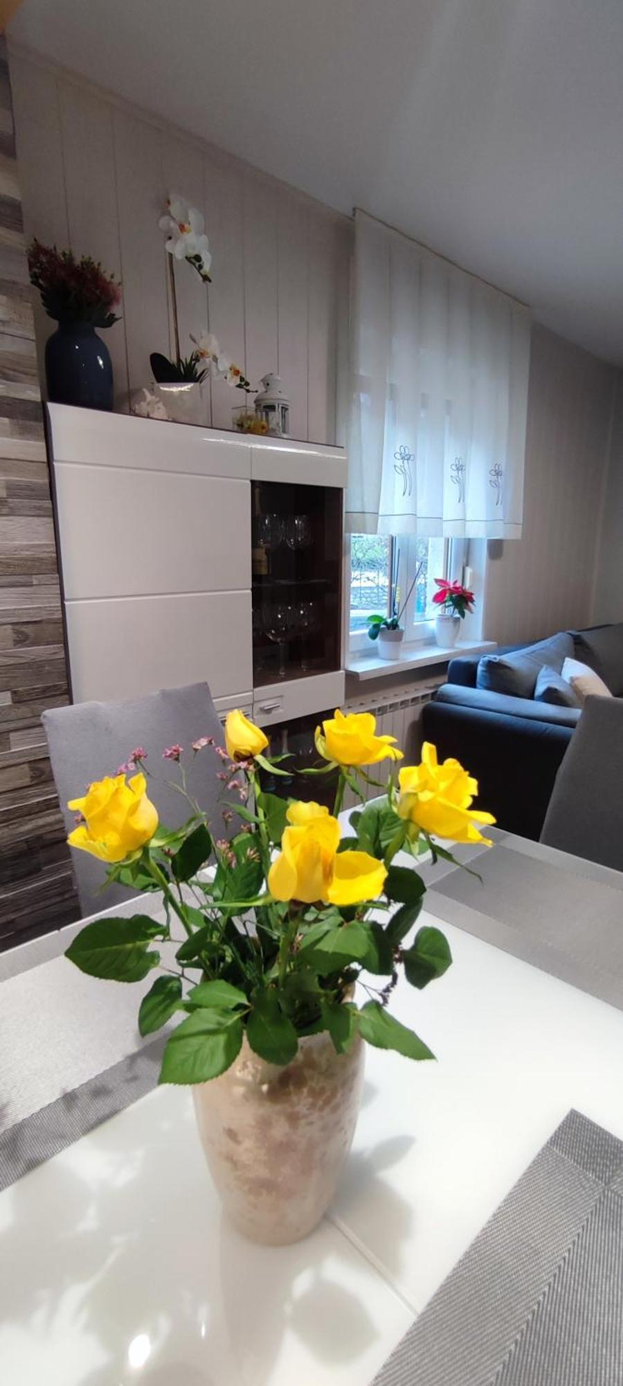Apartma Soca Oasis Srpenica Exterior foto